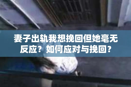 妻子出轨我想挽回但她毫无反应？如何应对与挽回？