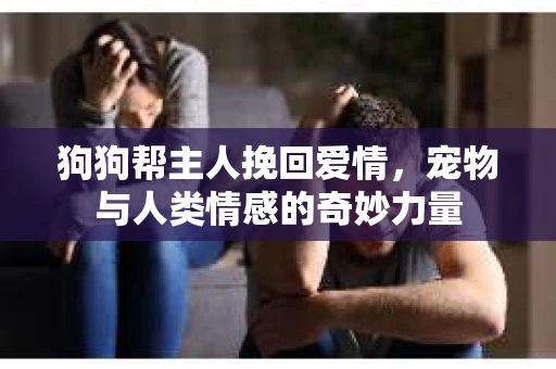 狗狗帮主人挽回爱情，宠物与人类情感的奇妙力量
