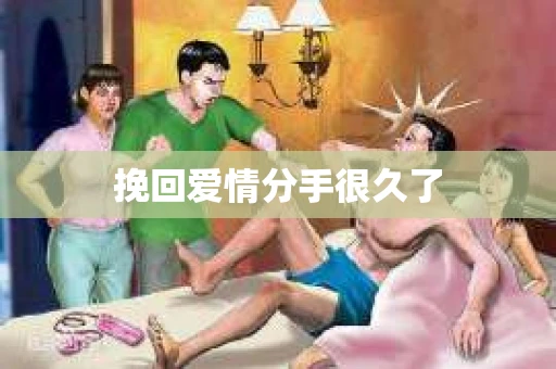 挽回爱情分手很久了