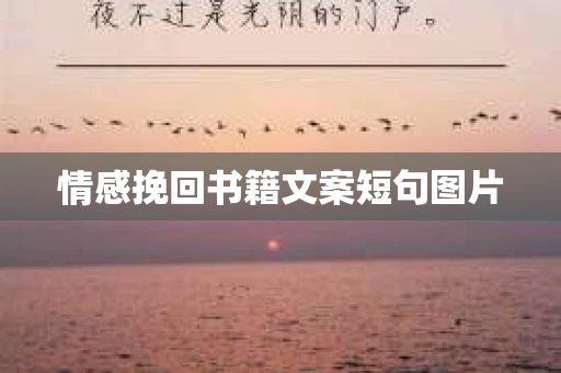 情感挽回书籍文案短句图片
