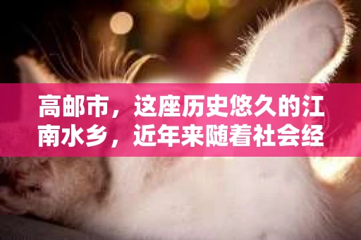高邮市，这座历史悠久的江南水乡，近年来随着社会经济的发展，人们的生活节奏加快，对于隐私保护和信息查询的需求也在逐渐增加。那么，问题来了——高邮市有私家侦探公司吗？今天，我们就来聊聊这个话题。