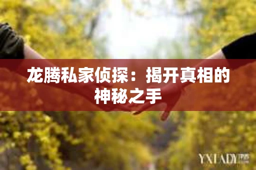龙腾私家侦探：揭开真相的神秘之手
