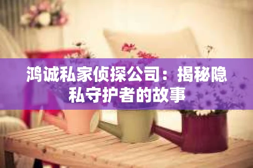 鸿诚私家侦探公司：揭秘隐私守护者的故事