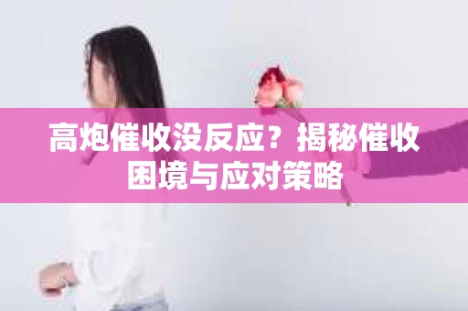 高炮催收没反应？揭秘催收困境与应对策略