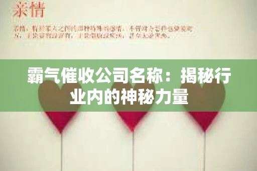 霸气催收公司名称：揭秘行业内的神秘力量