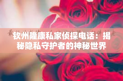 钦州隆康私家侦探电话：揭秘隐私守护者的神秘世界