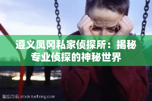 遵义凤冈私家侦探所：揭秘专业侦探的神秘世界