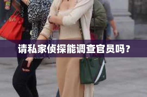 请私家侦探能调查官员吗？