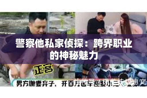 警察他私家侦探：跨界职业的神秘魅力