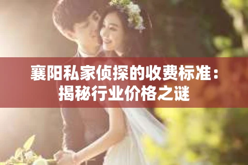 襄阳私家侦探的收费标准：揭秘行业价格之谜