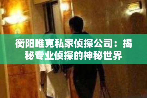 衡阳唯克私家侦探公司：揭秘专业侦探的神秘世界