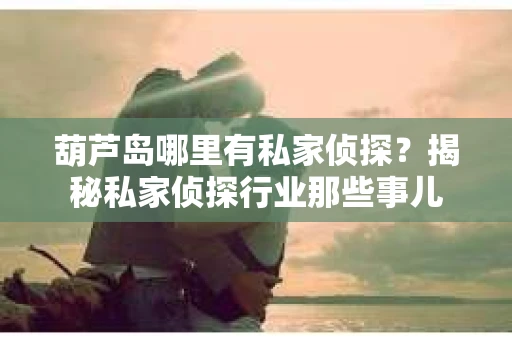 葫芦岛哪里有私家侦探？揭秘私家侦探行业那些事儿