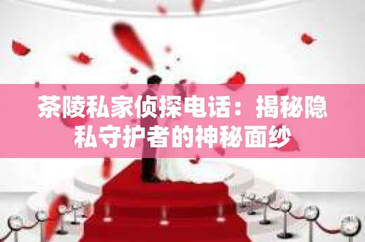茶陵私家侦探电话：揭秘隐私守护者的神秘面纱