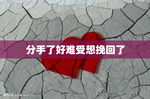 分手了好难受想挽回了