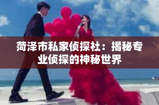 菏泽市私家侦探社：揭秘专业侦探的神秘世界