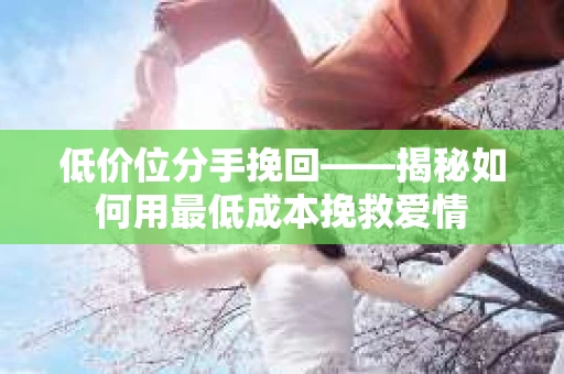 低价位分手挽回——揭秘如何用最低成本挽救爱情